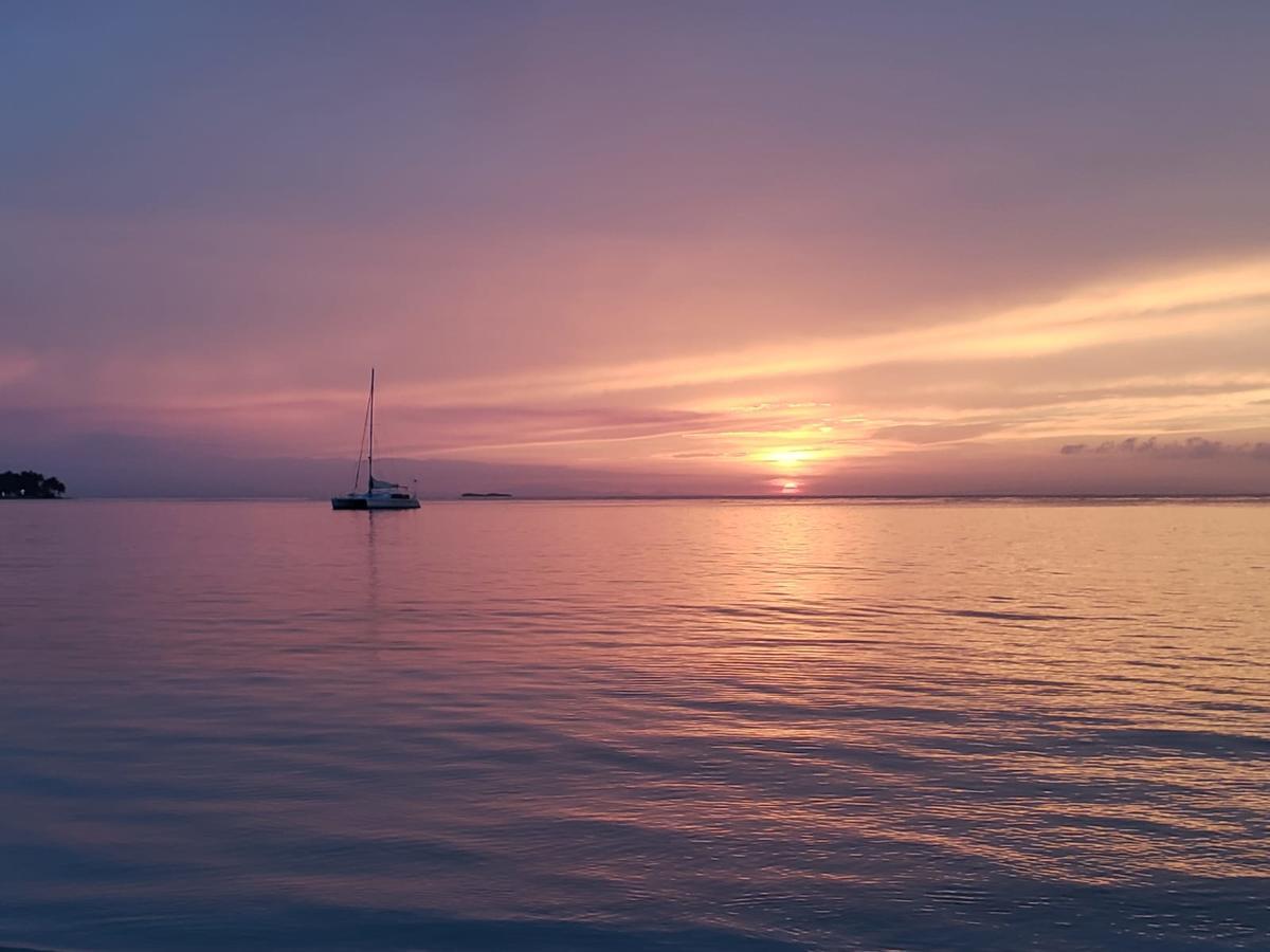 Las Terrenas, La Fenice, Playa Popy エクステリア 写真