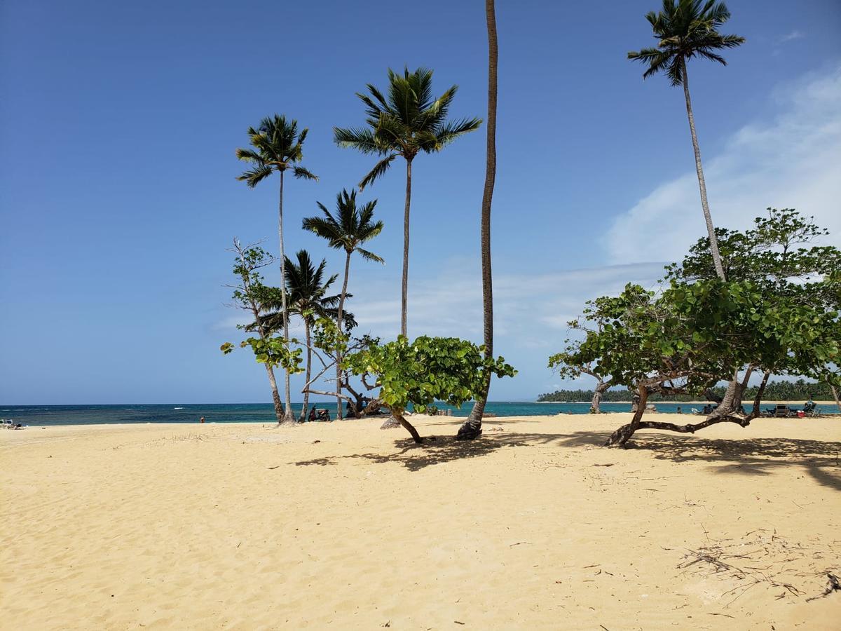 Las Terrenas, La Fenice, Playa Popy エクステリア 写真