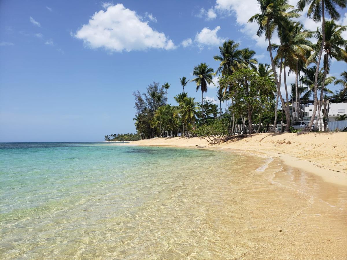 Las Terrenas, La Fenice, Playa Popy エクステリア 写真